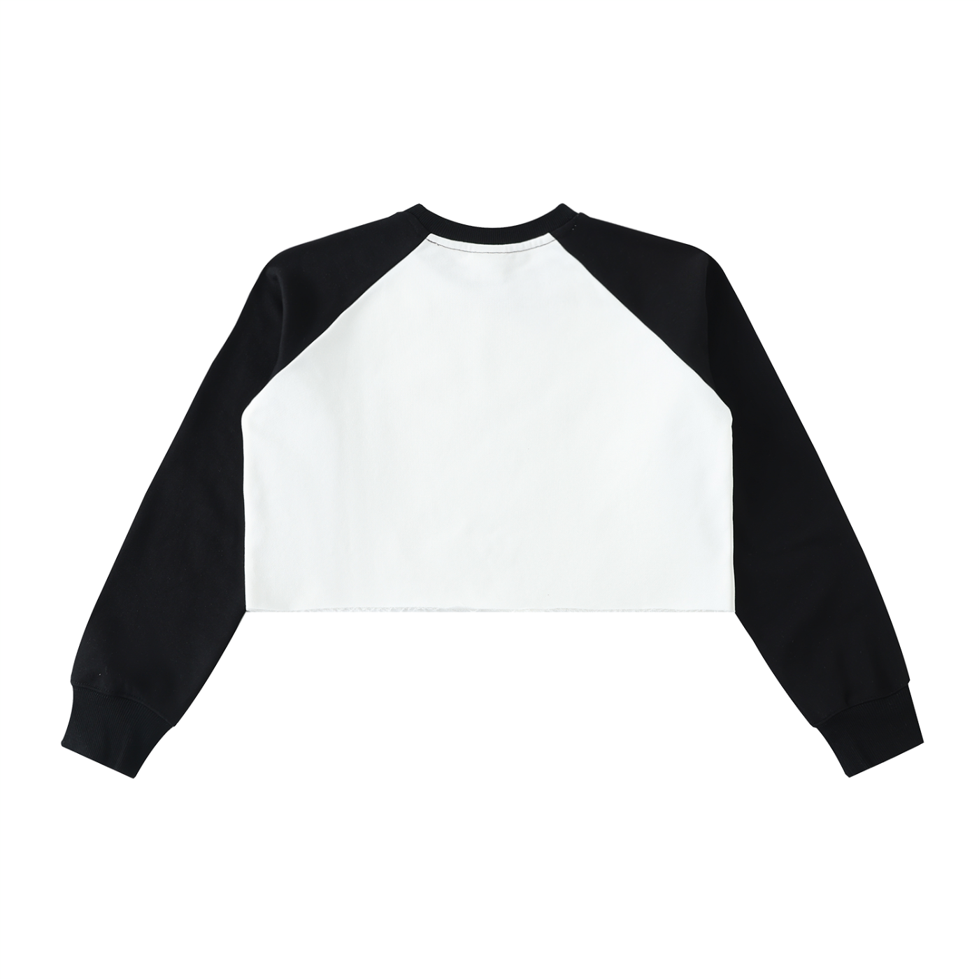 Wifi Crop Sweatshirt